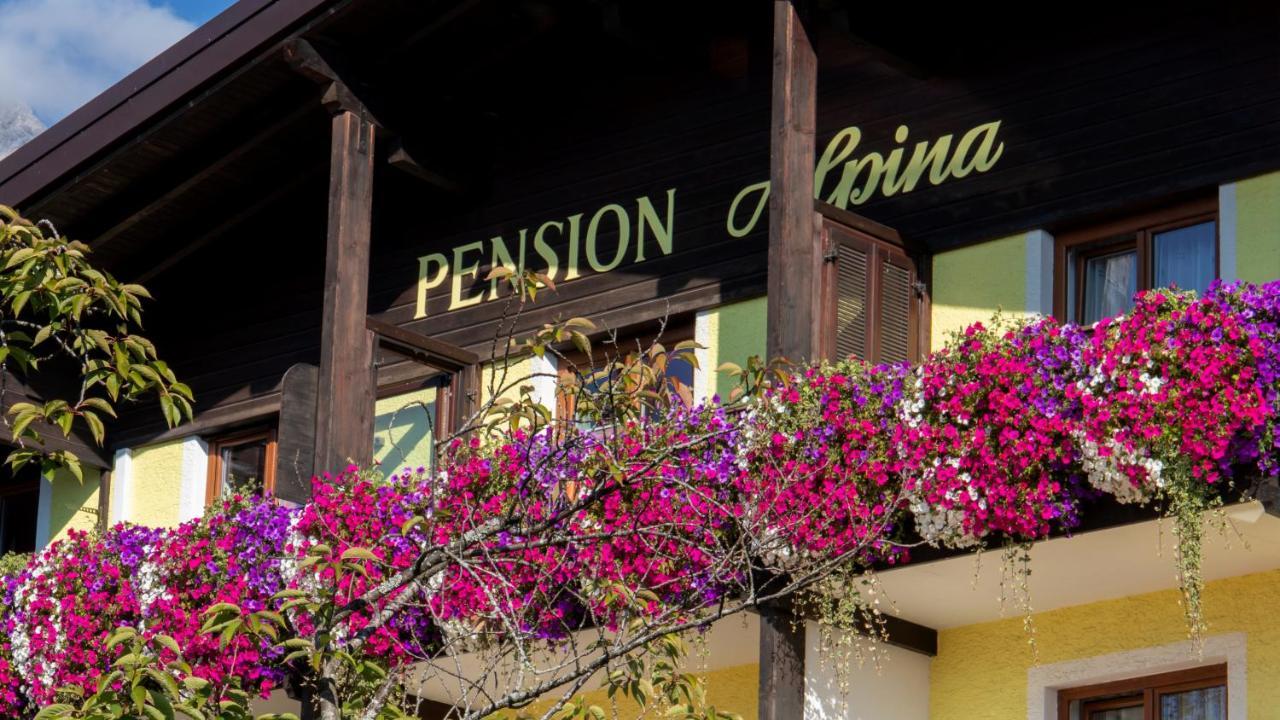Cafe Pension Alpina Ίνσμπρουκ Εξωτερικό φωτογραφία